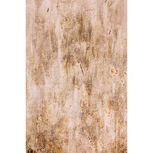 Texture Of Old Grunge Rust Wall Mural