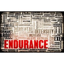 Endurance, Training, And Mental Strength Wall Mural