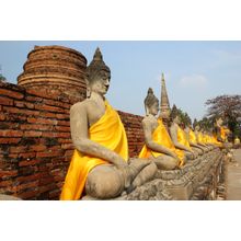 Buddha Statues Of Wat Yai Chai Wall Mural