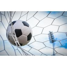 Soccer Goal Mural Wallpaper