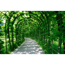 Garden Of The Linderhof Palace In Germany Wall Mural