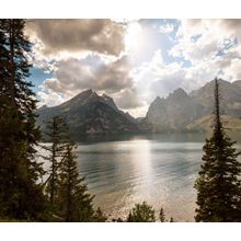 Grand Teton National Park Wall Mural