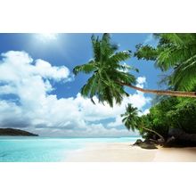 Mahe Island Beach Wall Mural