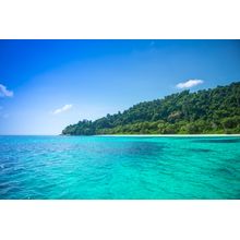 Beautiful Blue Sea With Tropical Forest And White Sandy Beach Wall Mural
