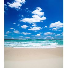 Beautiful Blue Beach Wall Mural