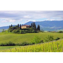 A Tuscan Home Wall Mural