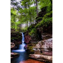 Adam's Falls and Tall Trees Wall Mural