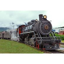 Steam Train Wall Mural