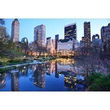 Central Park South Skyline Wall Mural