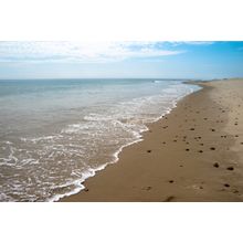 Foamy Surf On Nauset Beach Wall Mural