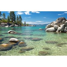 Lake Tahoe Beach Wall Mural