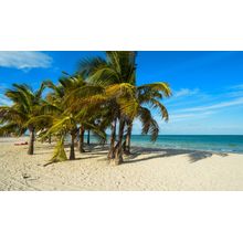 Beautiful Crandon Park Beach Wall Mural