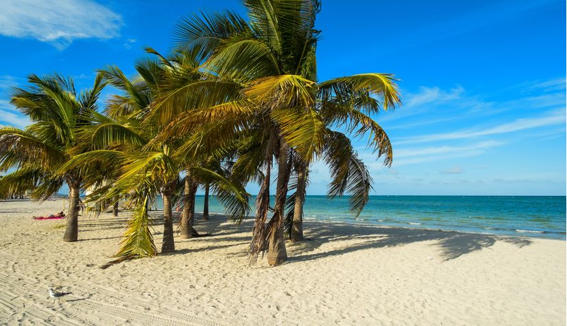 Beautiful Crandon Park Beach Mural - Murals Your Way