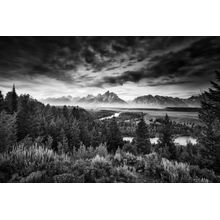 Misty Dawn Wall Mural