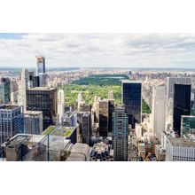 New York Skyline and Central Park Wall Mural
