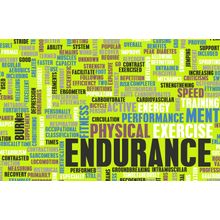 Endurance Wall Mural