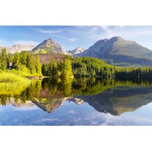 Reflected Mountain Wall Mural