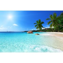 Anse Lazio Beach Wall Mural