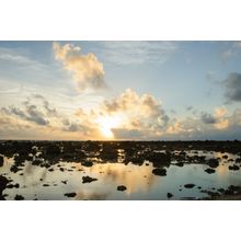 Silhouette Beach At Sunrise Wall Mural