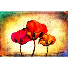 Abstract Flower Oil Painting Wall Mural