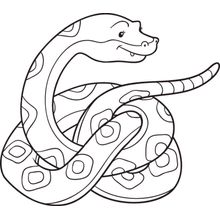 Snake Coloring Illustration Wallpaper Mural