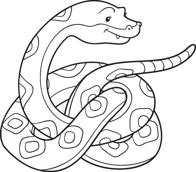 Snake Coloring Illustration Wall Mural - Murals Your Way