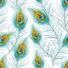 Peacock Feather Pattern Wallpaper