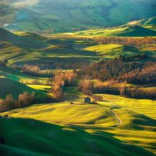 Tuscan Meadow Wall Mural