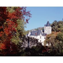 Chateau De Chissay Wall Mural