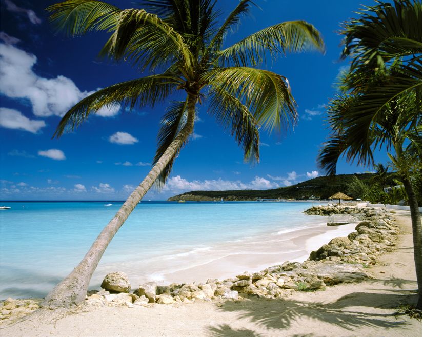 Dickinson-Bay-Antigua-Wallpaper-Mural