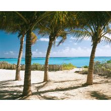 Upper Shoal Bay, Anguilla Wall Mural