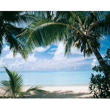 Coconut Palms, Bora Bora Wall Mural