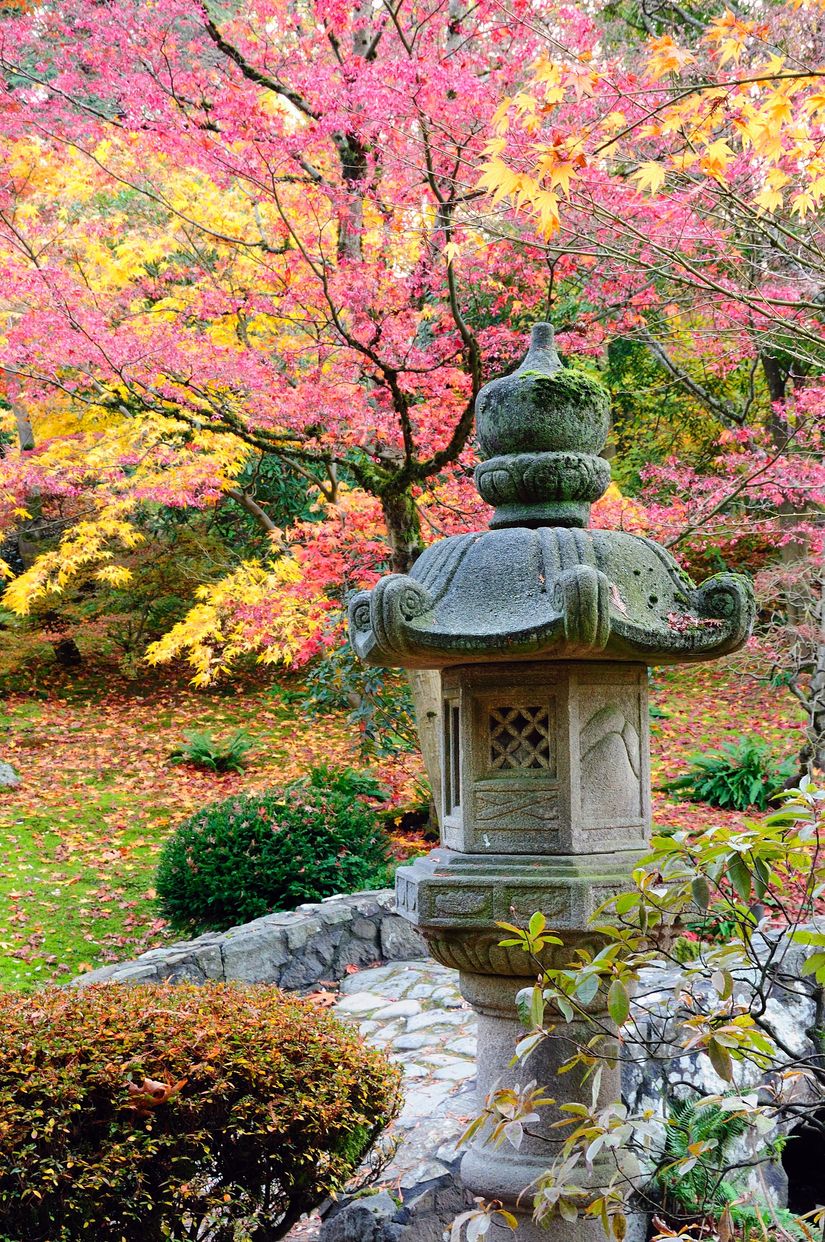 Autumn Japanese Garden Wall Mural Murals Your Way