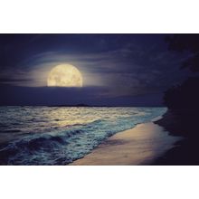 Seascape In Night Skies Wall Mural