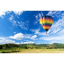 Flying Over The Field Wall Mural