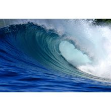 Blue Tropical Ocean Wave Wall Mural