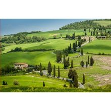 Road With Curves and Cypresses in Tuscany, Italy Wall Mural