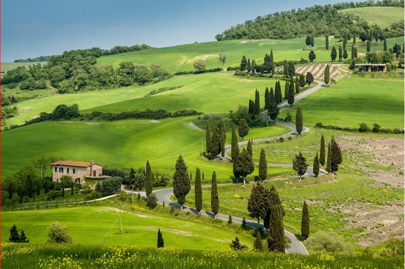 Road-With-Curves-and-Cypresses-in-Tuscany-Italy-Wall-Mural