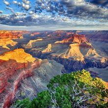 Morning Light at Grand Canyon Wall Mural