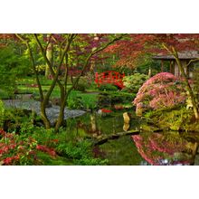 Japanese Garden in Spring Wall Mural