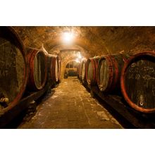 Wine Barrels and Bottles In A Traditional Cellar Wall Mural