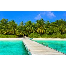 Dock To Sandy Beach And Jungle  Wall Mural