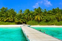 A weathered wood dock stretches out over tropical aqua waters leading to a white sandy beach and a lush tropical forest beyond