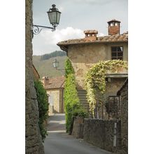 Tuscan Street Wall Mural