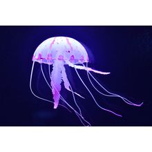 Jellyfish Wall Mural