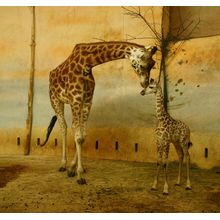 Artistic Giraffes Wall Mural