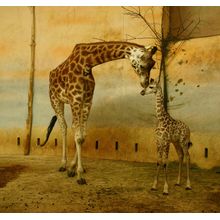 Artistic Giraffes Wall Mural