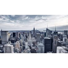Gray Manhattan Morning Wall Mural