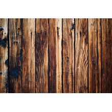 Beautiful Brown Wood Texture Wall Mural