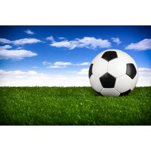 Soccer Ball On Green Field Wall Mural